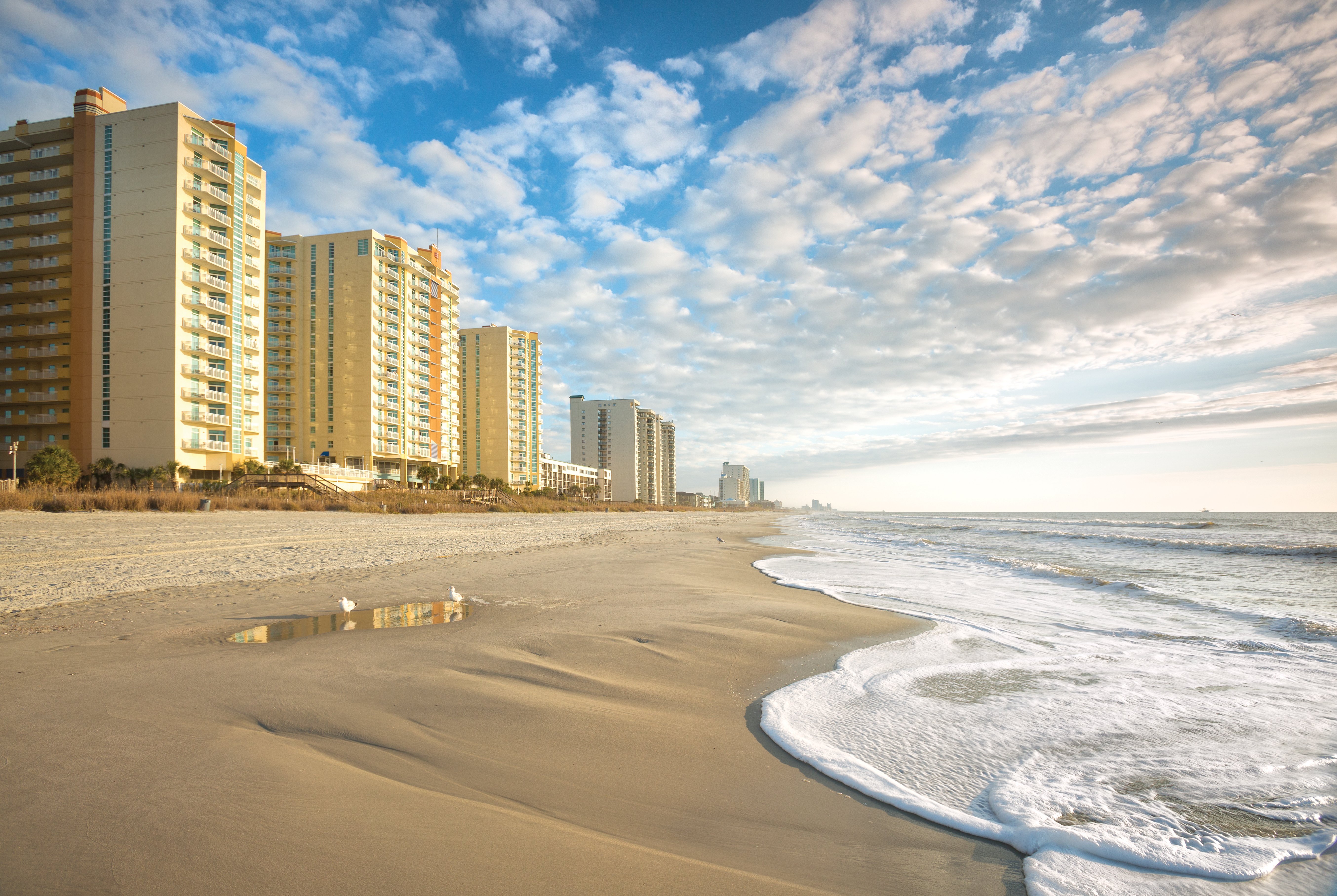 Wyndham Ocean Boulevard