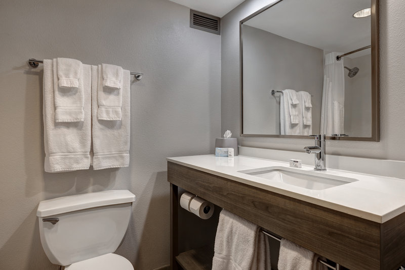 Holiday Inn Express and Suites Central Omaha