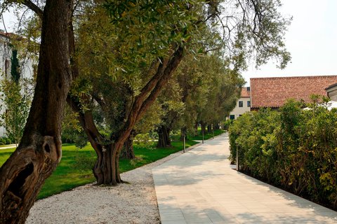 Residenza delux terrace Path