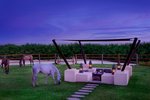 Al Wathba, a Luxury Collection Desert Resort & Spa, Abu Dhabi