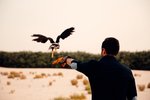Al Wathba, a Luxury Collection Desert Resort & Spa, Abu Dhabi