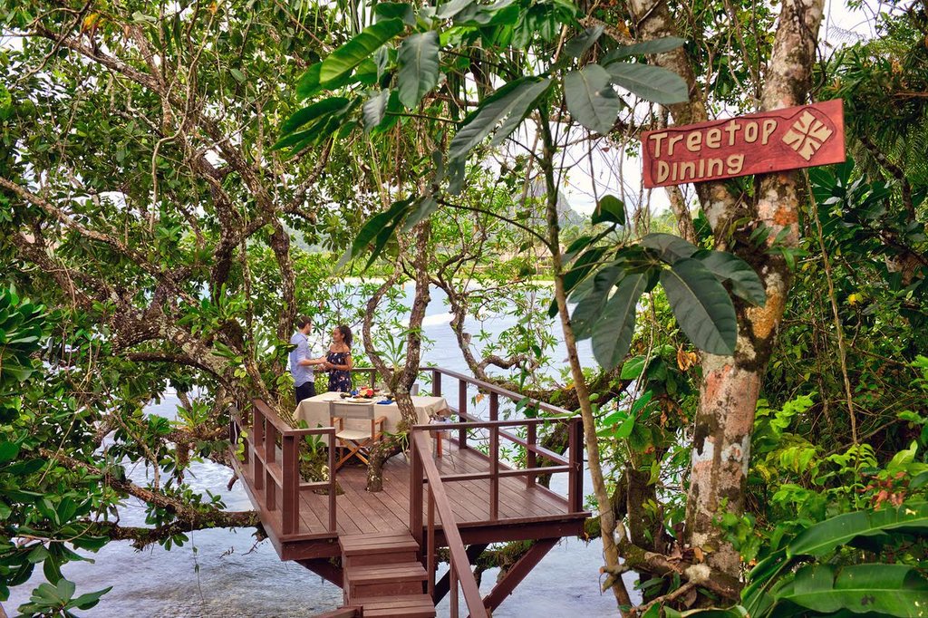 Guest photo