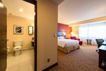 Junior Suite, Executive lounge access, 1 Bedroom Junior Suite, 1 King to 1 King Suite, City view