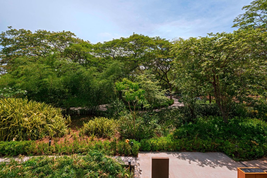 Guest photo