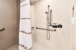 Guest room, 1 King