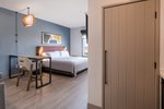 1 King Bed Studio Suite