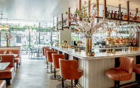 The Pembroke Washington DC Restaurant Cocktail Bar