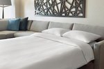 Hospitality Suite, Hospitality Suite, 1 Queen Murphy, Sofa bed