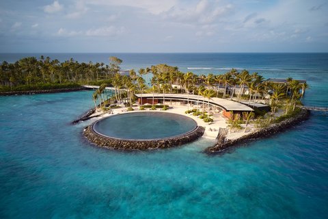 Culinary Island