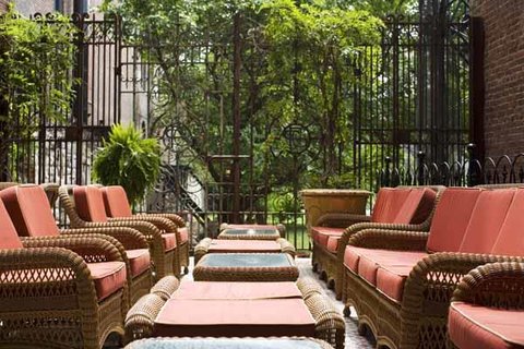Guest photo
