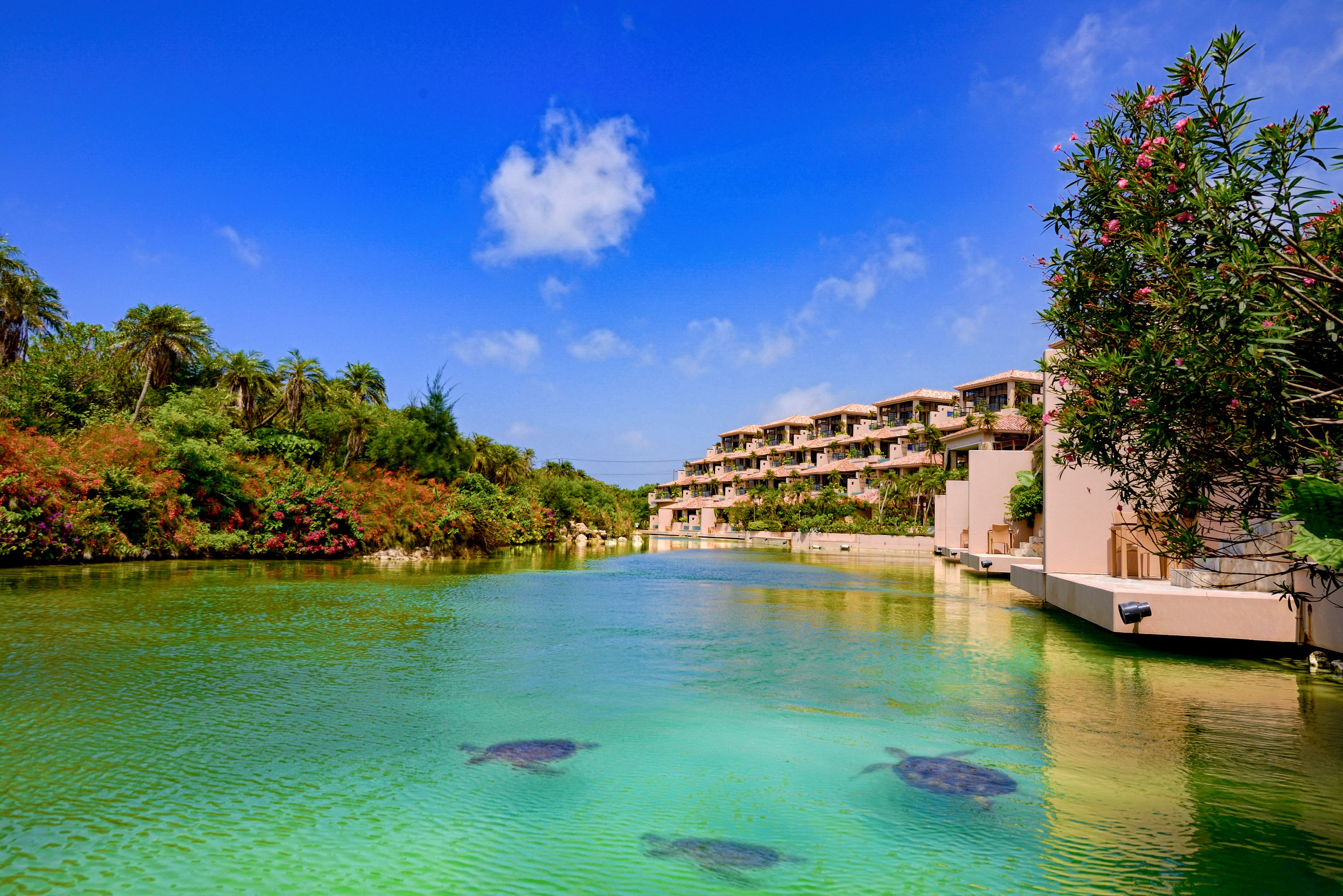 Shigira Bayside Suite Allamanda