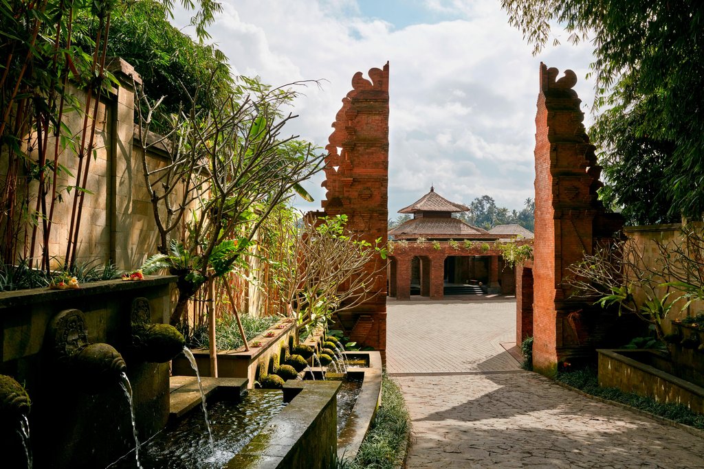 Guest photo