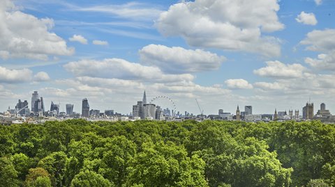 City Skyline View