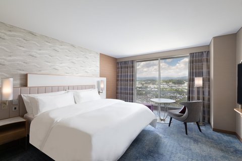 Deluxe King Guest Room 