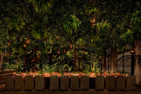 The Terrace and Outdoor Gardens
