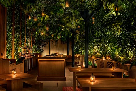 The Terrace and Outdoor Gardens