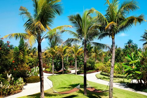Tropical Park
