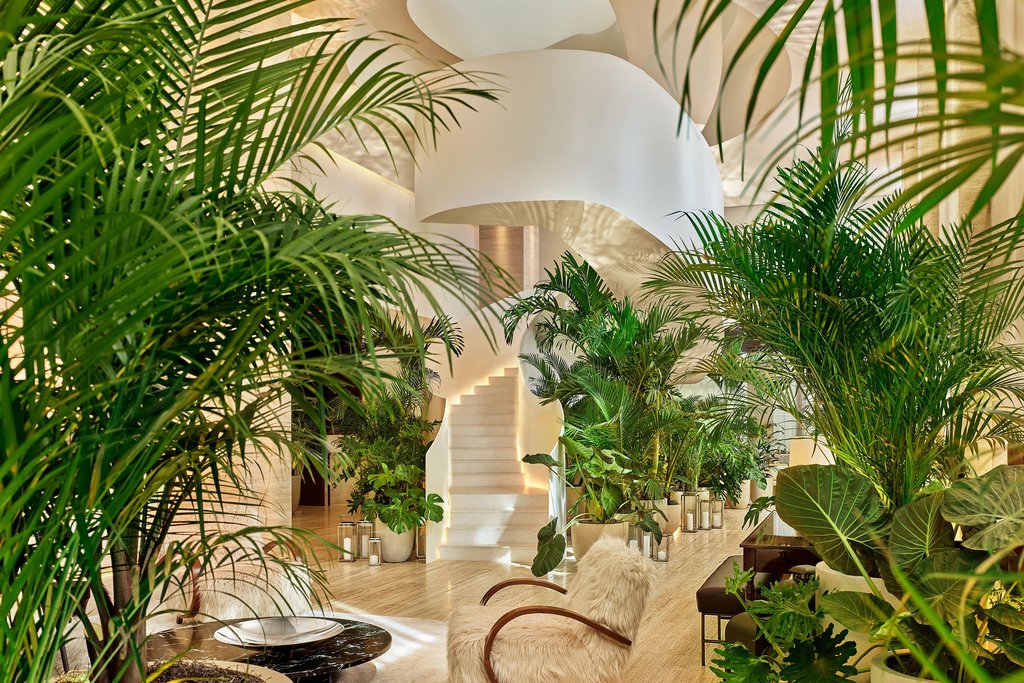 Guest photo