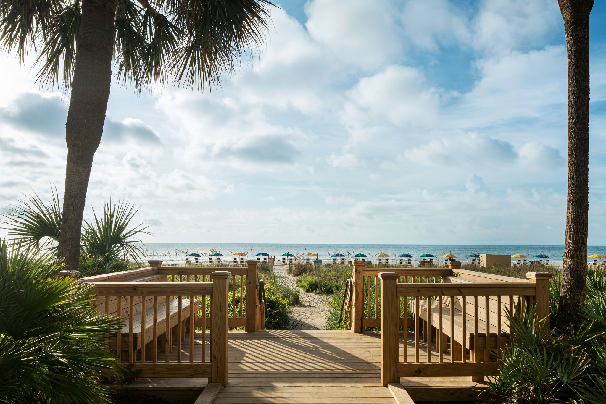 SpringHill Suites Myrtle Beach Oceanfront