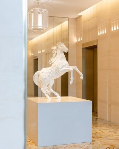 Guest photo