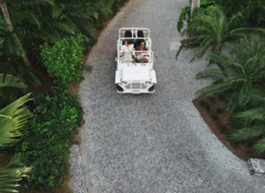 Guest photo