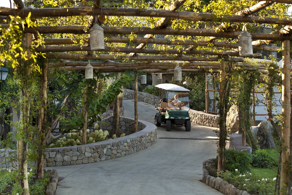 Guest photo