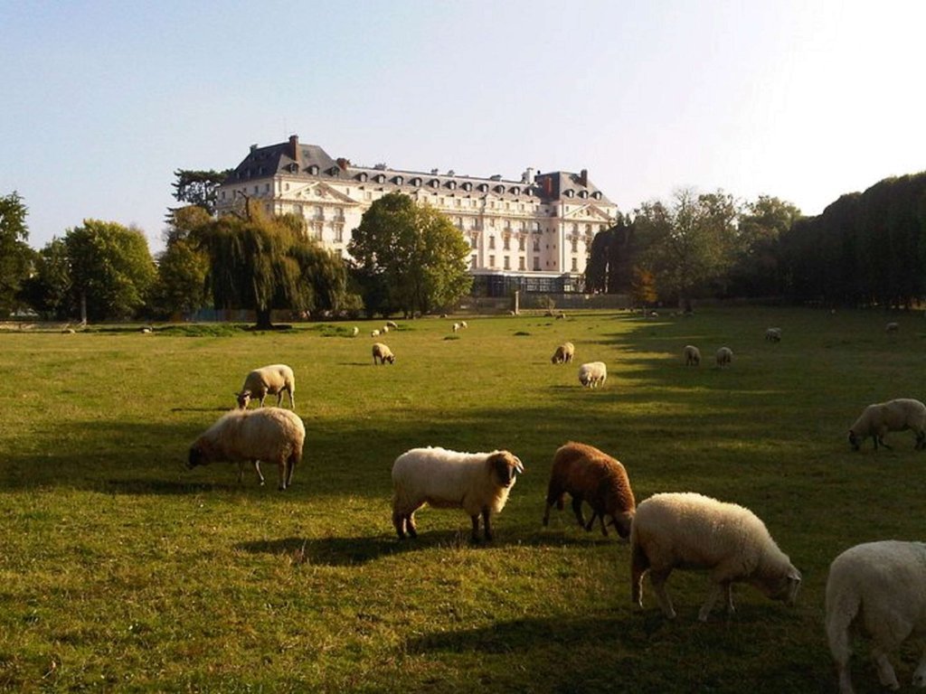 Guest photo
