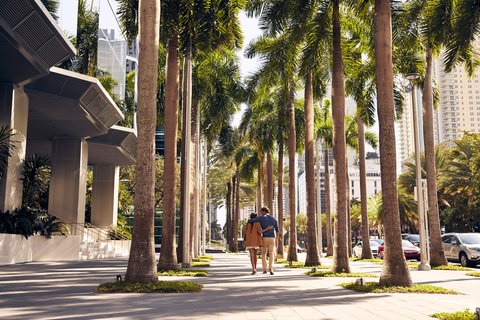 Brickell Locale