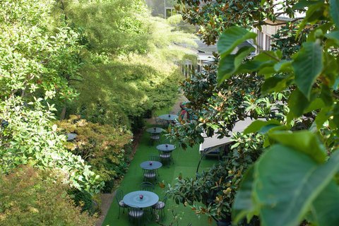Habitación - Vista al jardín