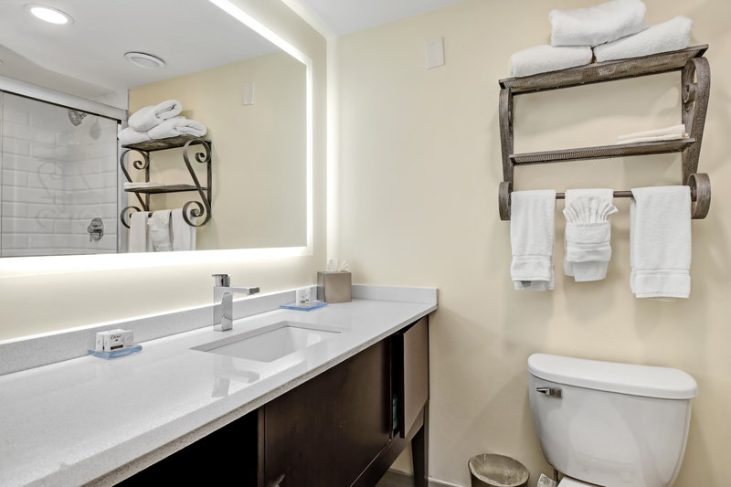 Holiday Inn Piscataway – Somerset