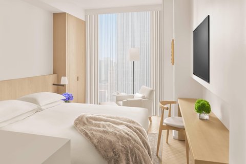 Queen Guest Room