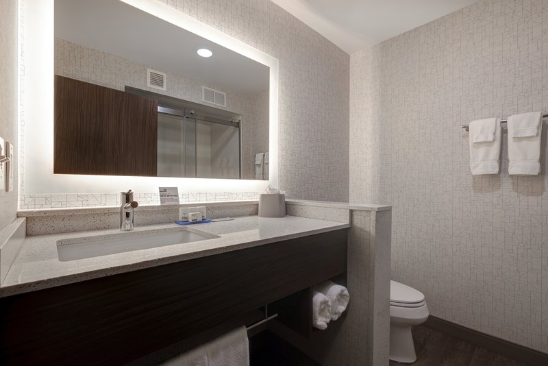 Holiday Inn Express and Suites Ann Arbor – University South