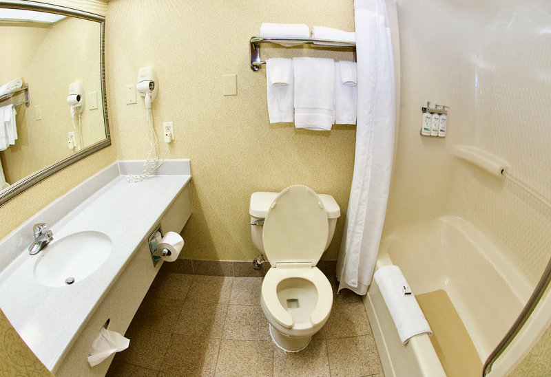 HOLIDAY INN EXPRESS SUITES FENTON