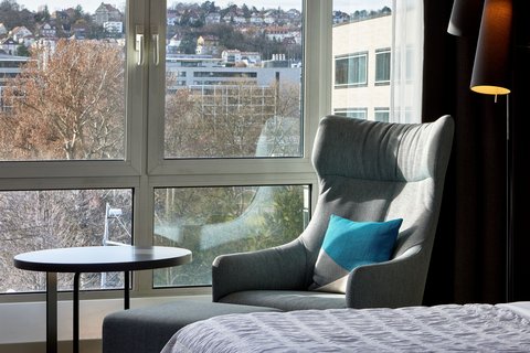 Executive Chic Room View