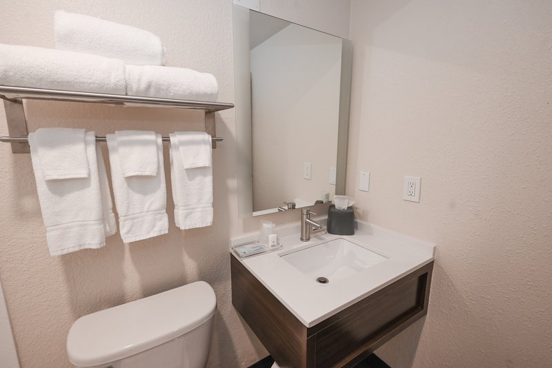 HOLIDAY INN MAYFIELD