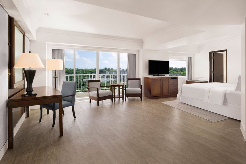 Large Guest Room, One King Bed