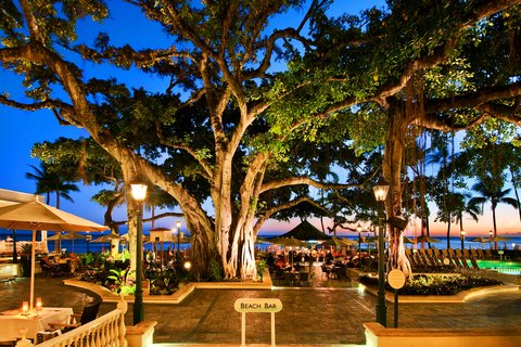 Patio Banyan