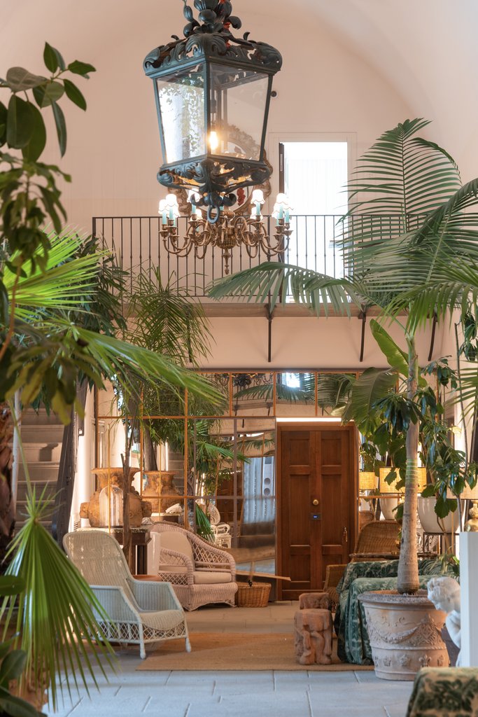 Guest photo