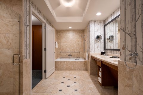 Partial Accessible Bathroom