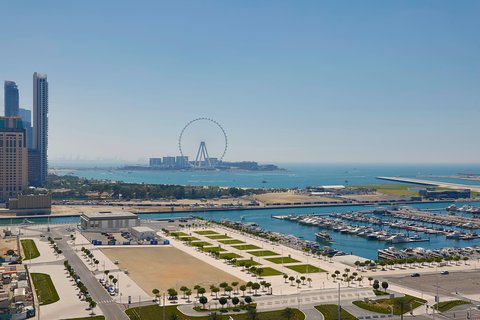 View of Ain Dubai and Dubai Harbour
