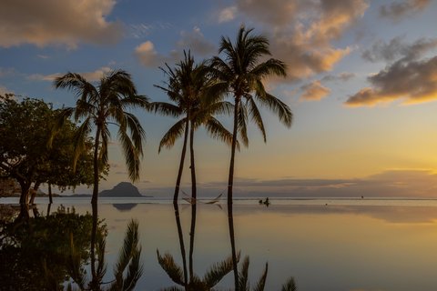 Infinity Pool