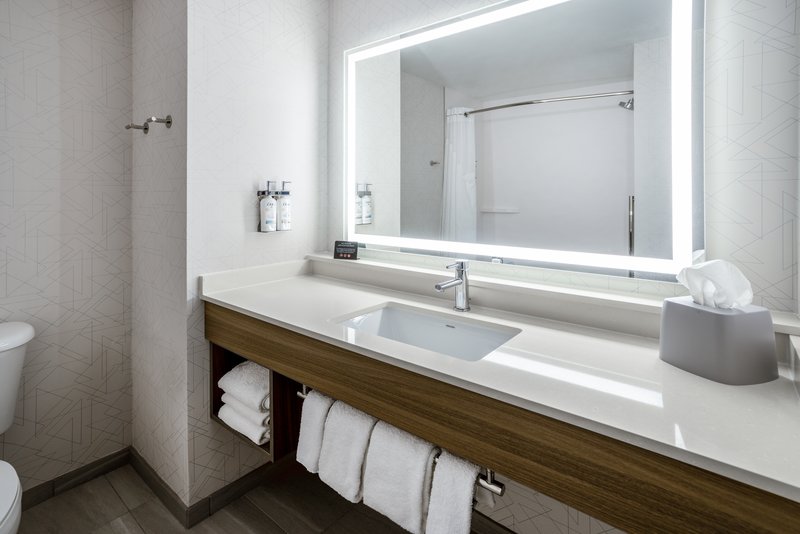 HOLIDAY INN EXP STES I-75