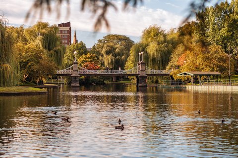 Boston Public Garden