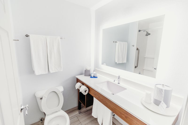 Holiday Inn Express ATLANTA NE – I-85 CLAIRMONT