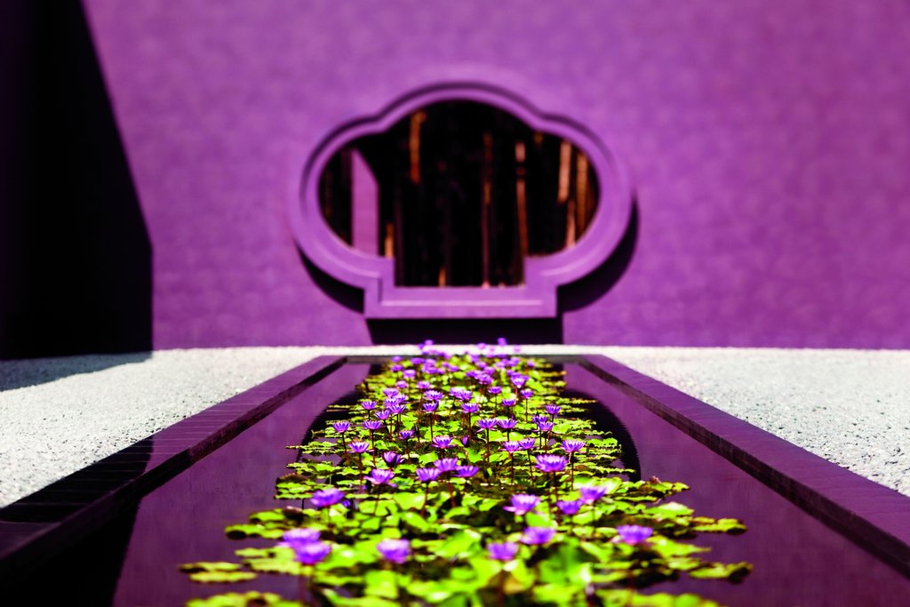 Guest photo