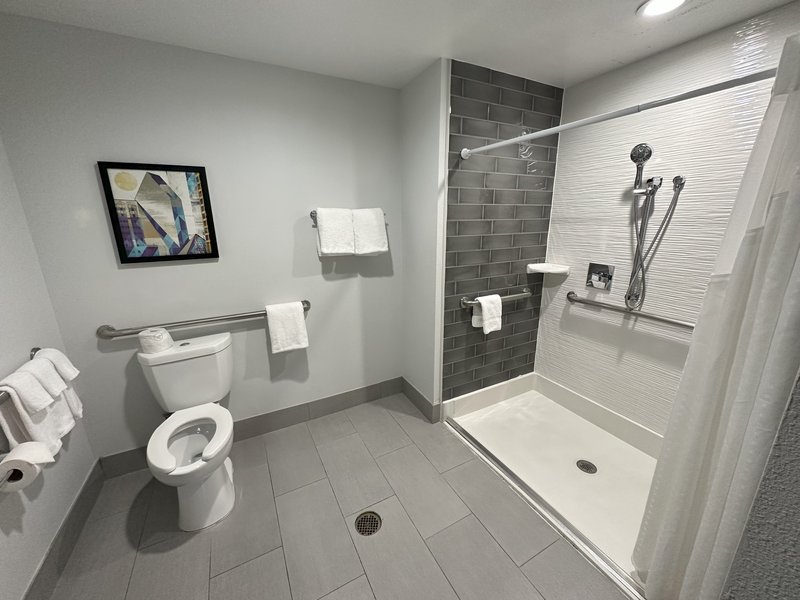 Holiday Inn Express Dallas Downtown