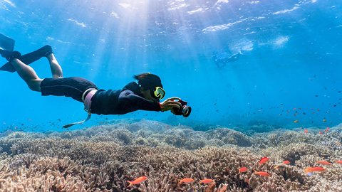 Tours en Cancún- Xel Ha