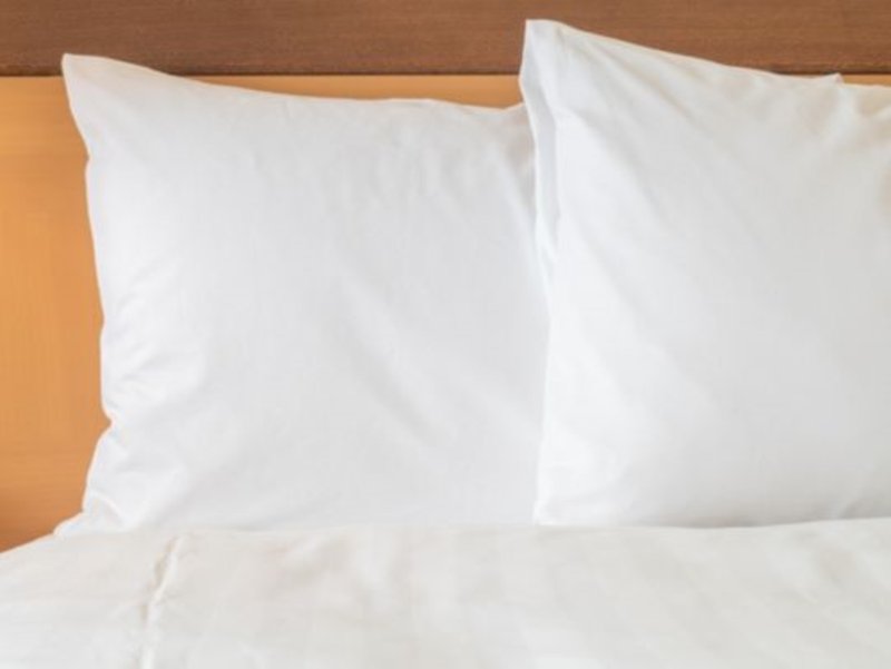 Holiday Inn Express and Suites Brevard – City Center