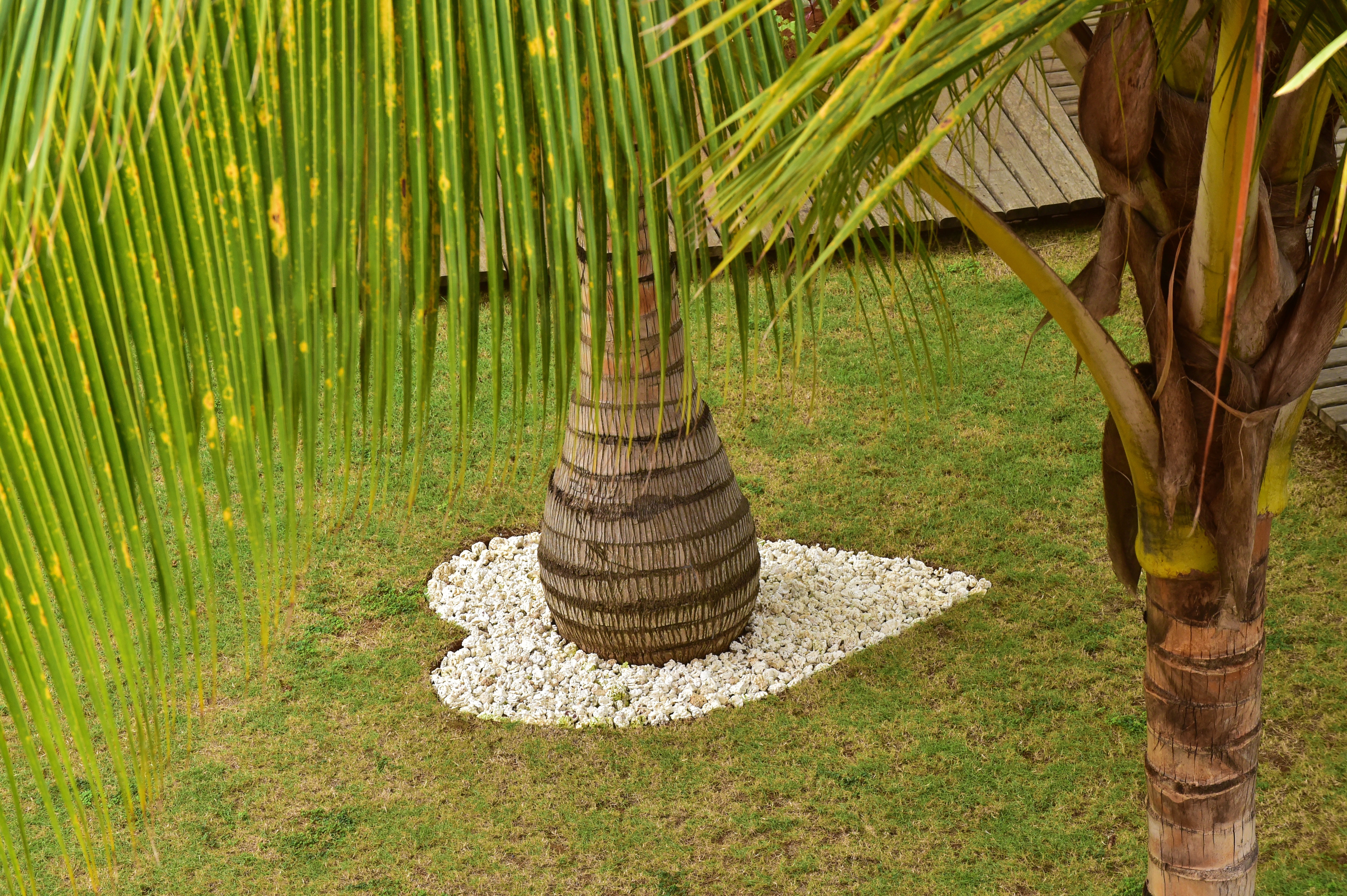 Pestana Sao Tome Ocean & Spa Hotel