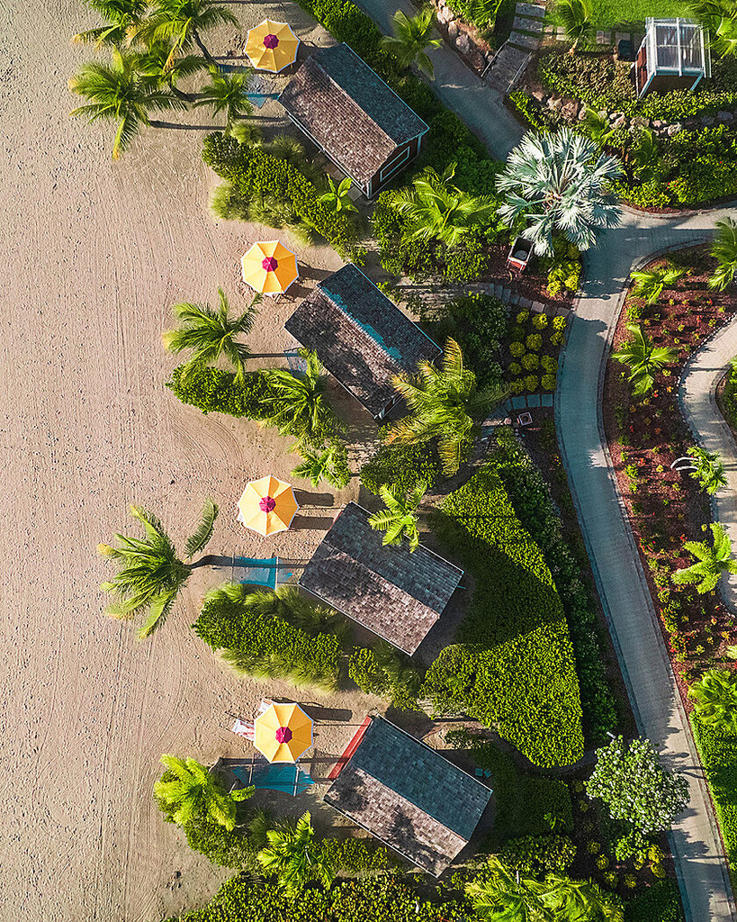 Guest photo